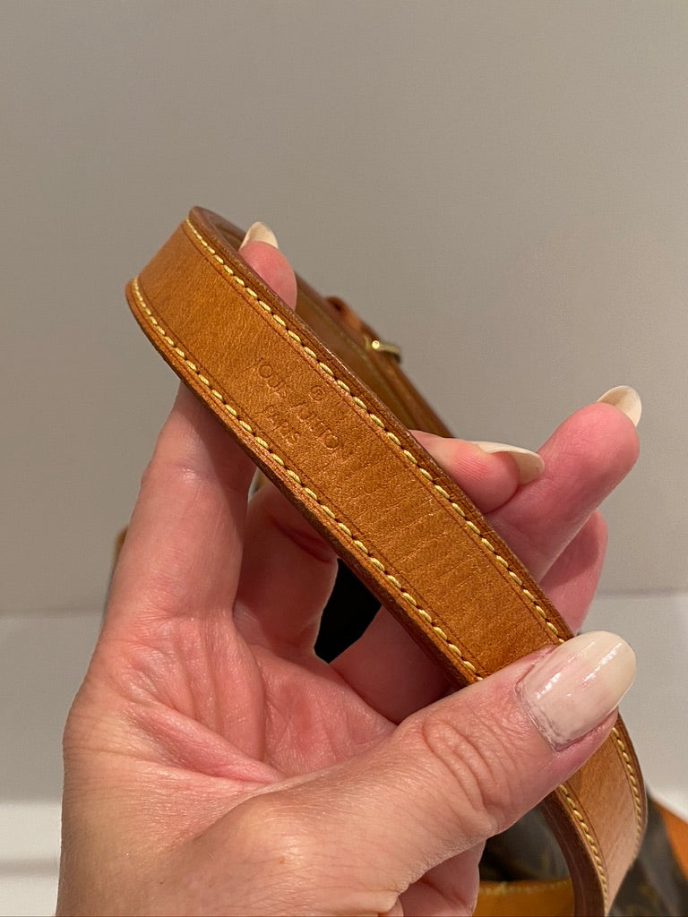 Louis Vuitton Noé Monogram