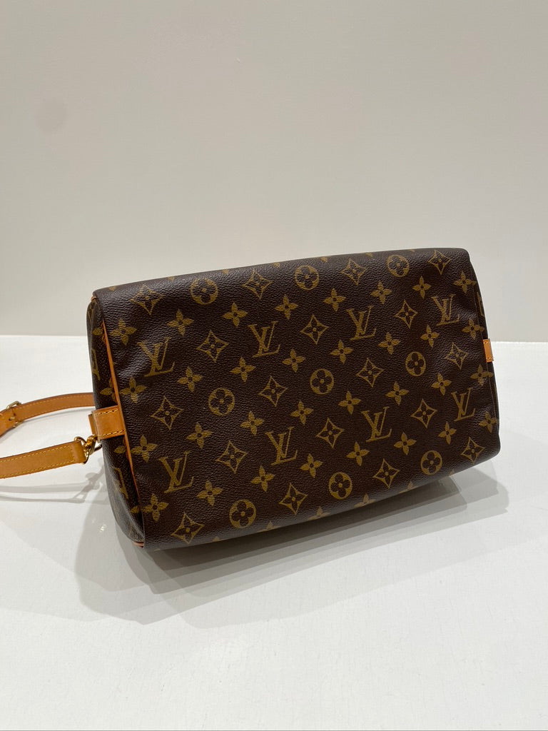 Louis Vuitton Speedy Bandoulière 30 Taske