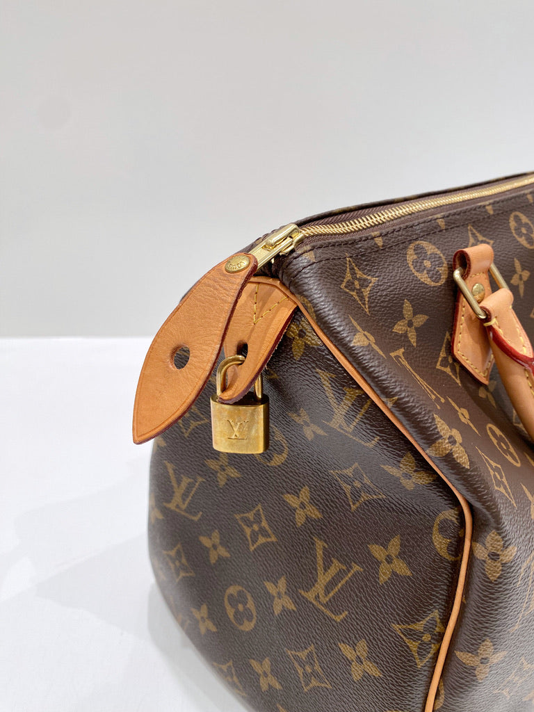 Louis Vuitton Speedy Monogram 30